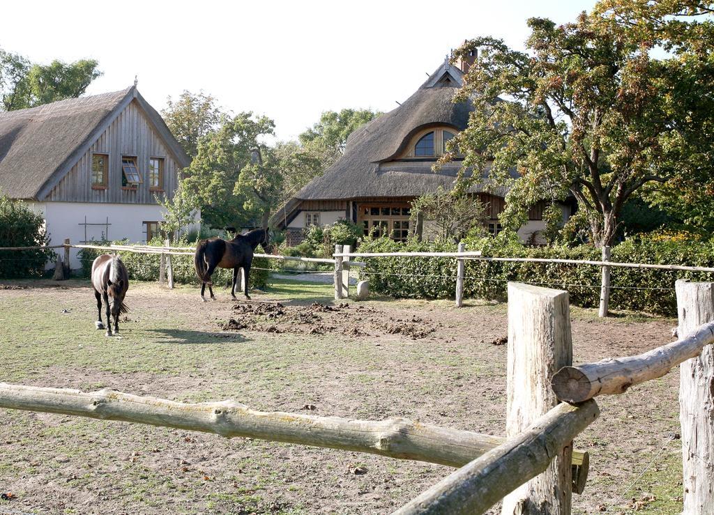 Ostseehotel Wustrow Wustrow (Fischland) Exterior foto
